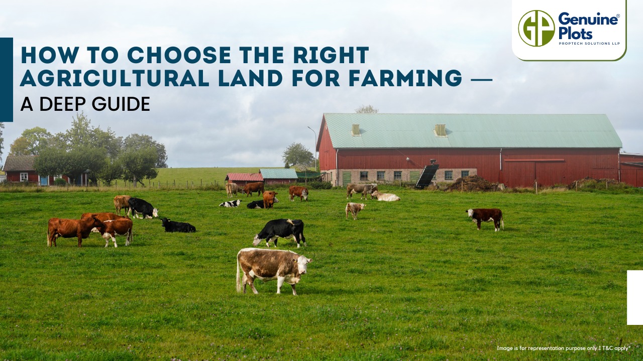 How to Choose the Right Agricultural Land for Farming — A Deep Guide
